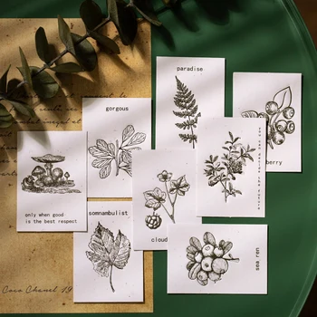 

Vintage Specimen collection Memo Pad Sticky Note Kraft Paper Decorative Stickers Mini Message Card DIY Craft Photo Albums