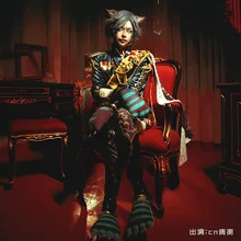 Cheshire Cat Halloween Costume Mens 2022