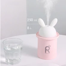 US $20.70