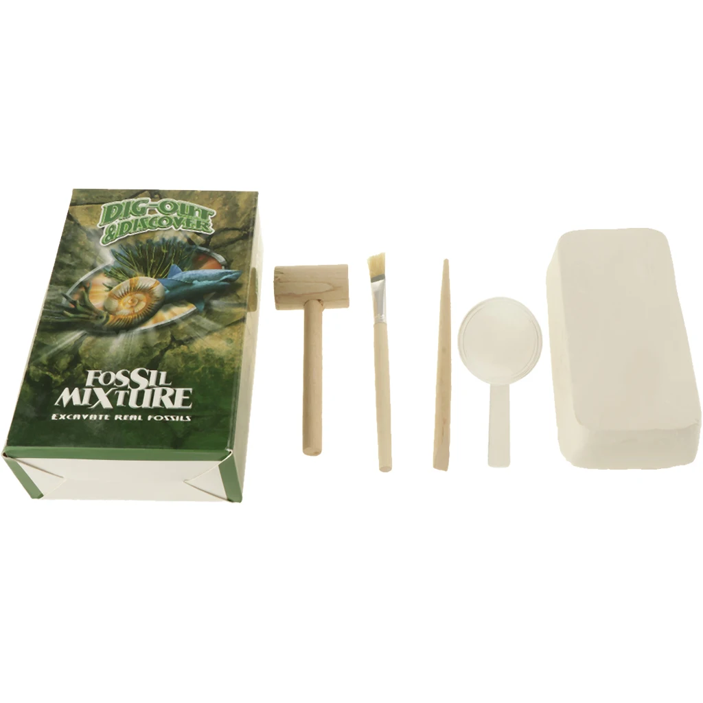 Natural Rock & Mineral Specimens Dig Kit - Discovery Geology Science Educational Toys Kids Learning Gift #B