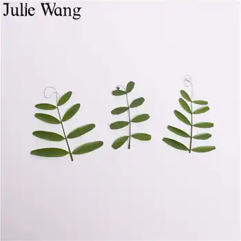 

Julie Wang 30PCS Natural Dried Salsula Leaves Green Plant Specimen Epoxy Jewelry Making Accessory Phone Case Decoration