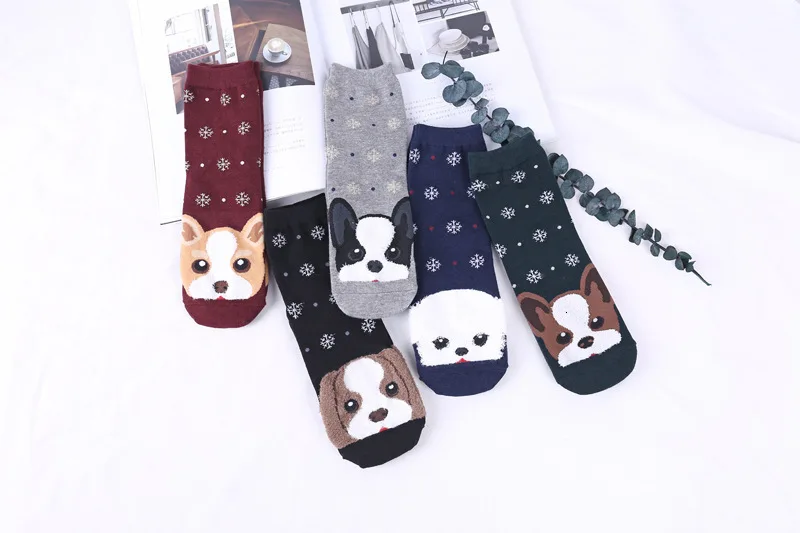 9176521721_903822819