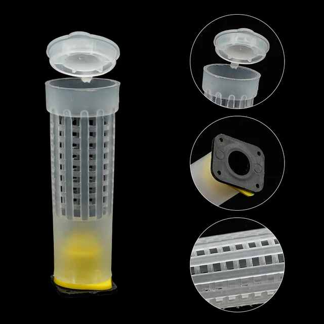 20/50 Pcs Méhész Eszközök Termékenységi Király Talapzatőr Hosszú Fall Pajzs Queen Ketrec Borítója Bejegyzett Levél Szerint - Image 6