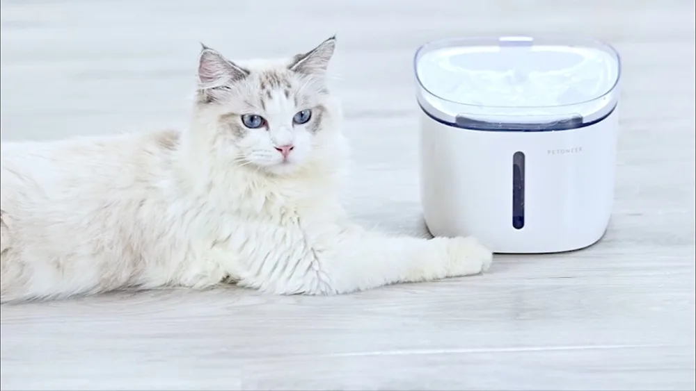 Objet rigolo : Un pointeur laser connecté pour Chat de chez Xiaomi et  Petoneer – Dingodor One Tech