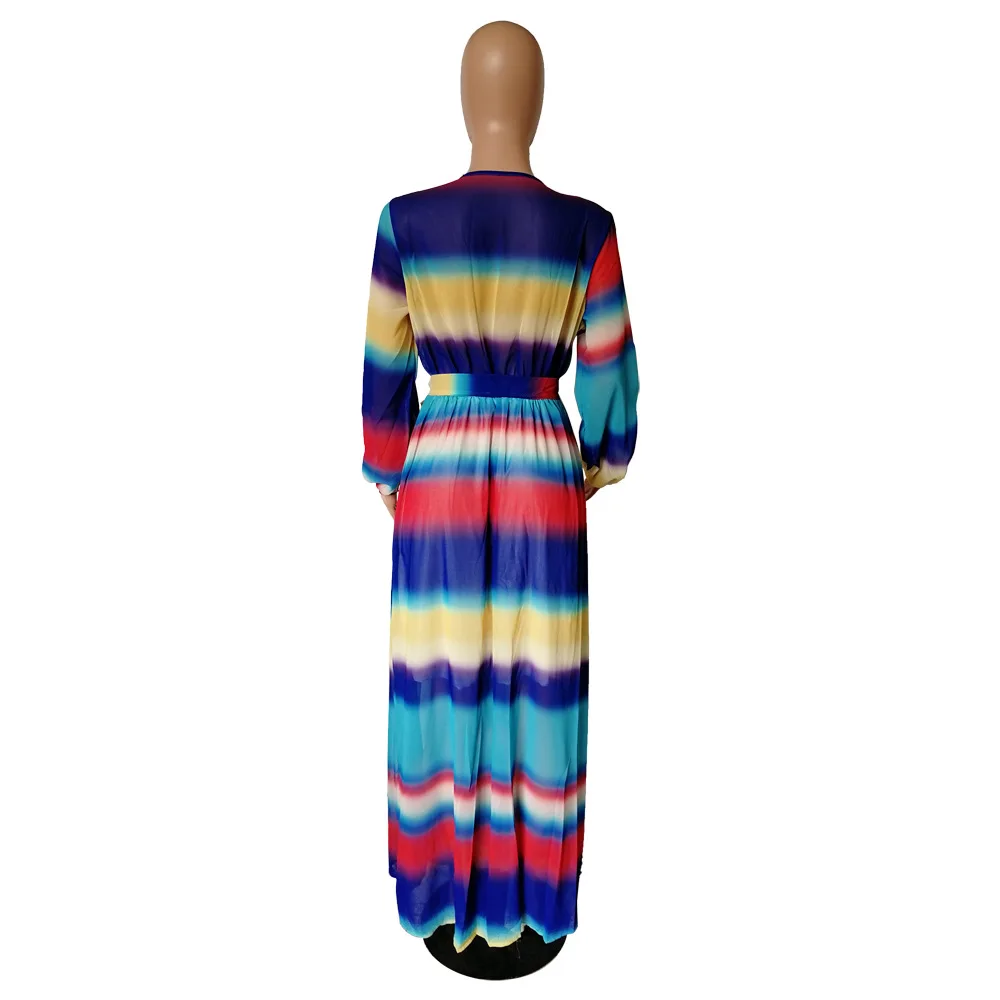 Stripe Floral Print Long Sleeve Chiffon Dress