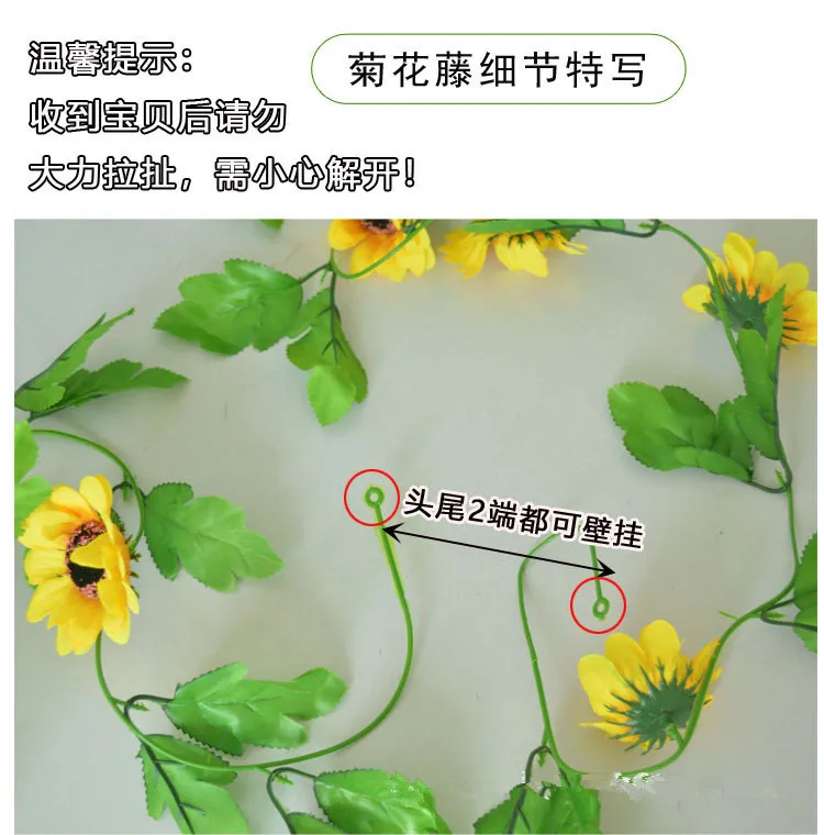 10172669630_1472378新