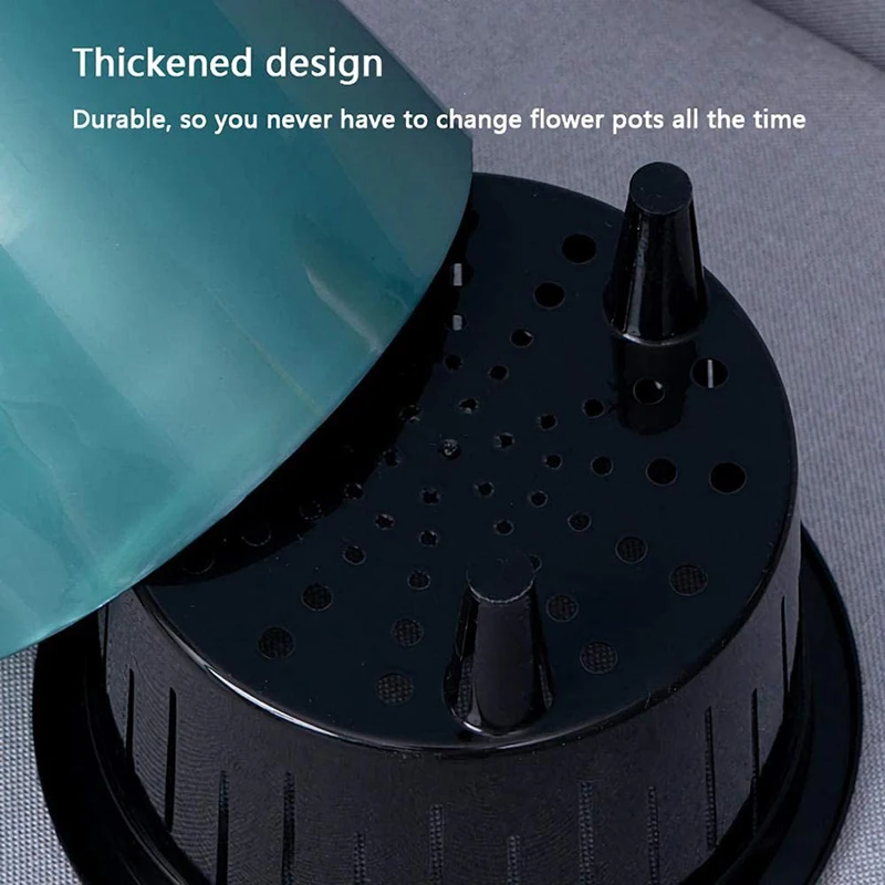 61GNWCL7XeL._AC_SL1000_