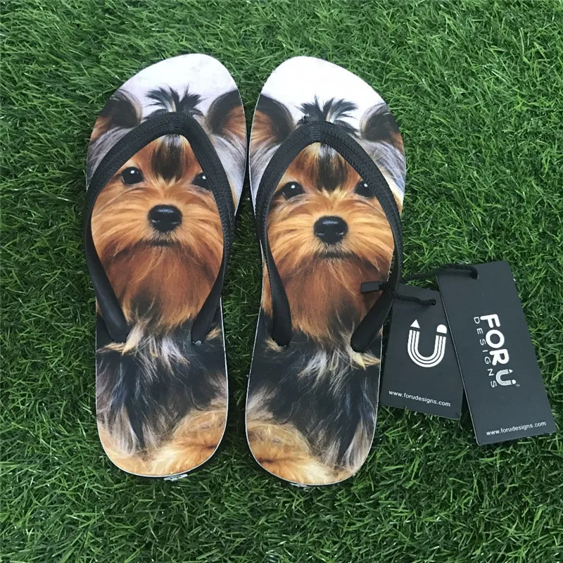 HTB1ztj6gTtYBeNjy1Xdq6xXyVXaN