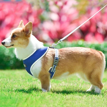

Pet Reflective Chest And Back With Breathable Mesh Chest And Back Traction Rope Pet Products For Small And Medium-sized Dog