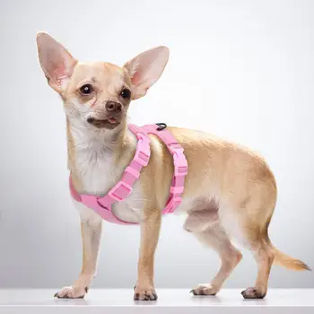 

Dog Harness For Small Dogs Chihuahua Yorkie Ajustable Soft Leather Pet Puppy Harness Vest Pink