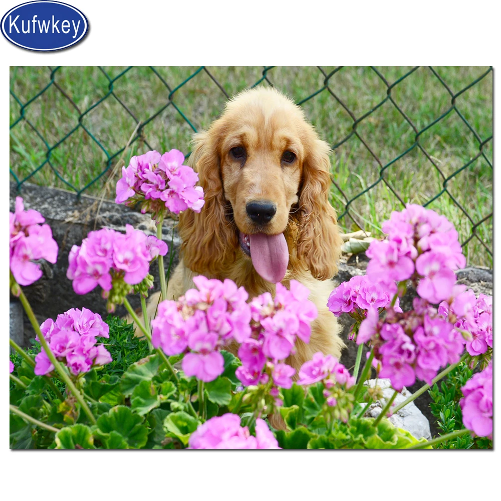 retriever cross for sale