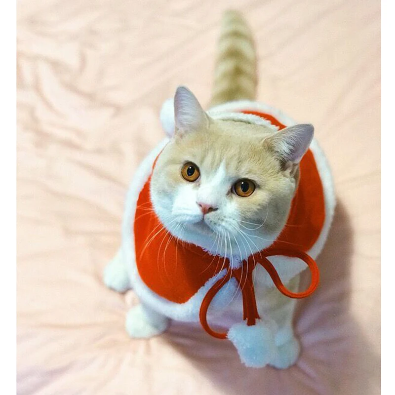 7872125764_602832808