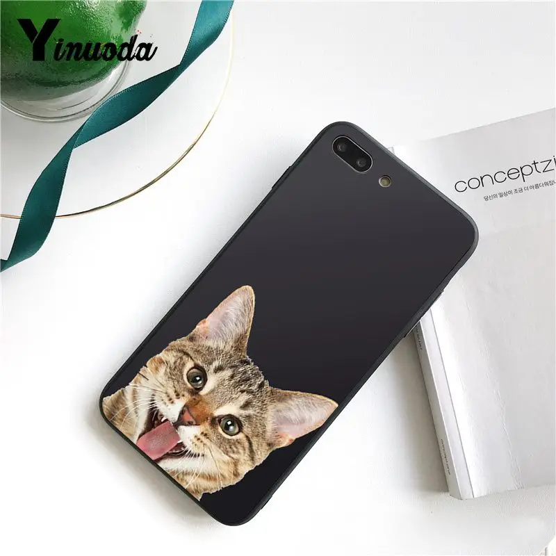 Cute  French Bulldog cartoon dog and cat