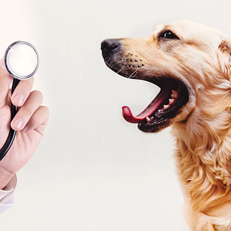 Pet Электрический Зубная щётка удаляет от зубных пятен изображениями кота и