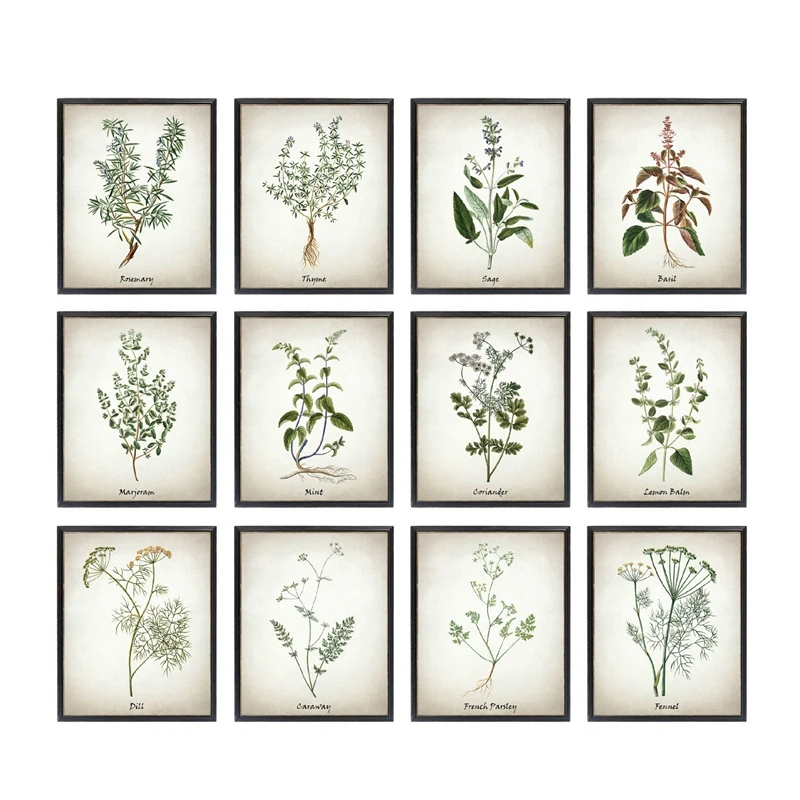 Herb-Canvas-Art-Painting-Vintage-Herbal-Illustrations-Posters-and-Prints-Culinary-Herbs-Botanical-Kitchen-Wall-Art