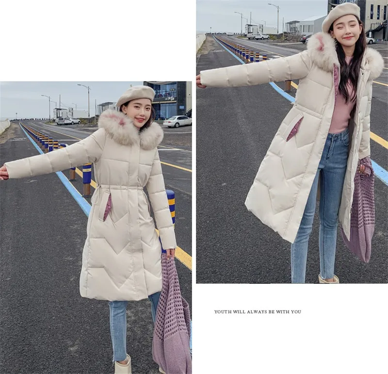 Autumn Winter New Warm Down cotton Jacket Women Hooded Fur collar Cotton Jackets Women's Korean Casual Plus size Parkas F921 - Цвет: creamy-white