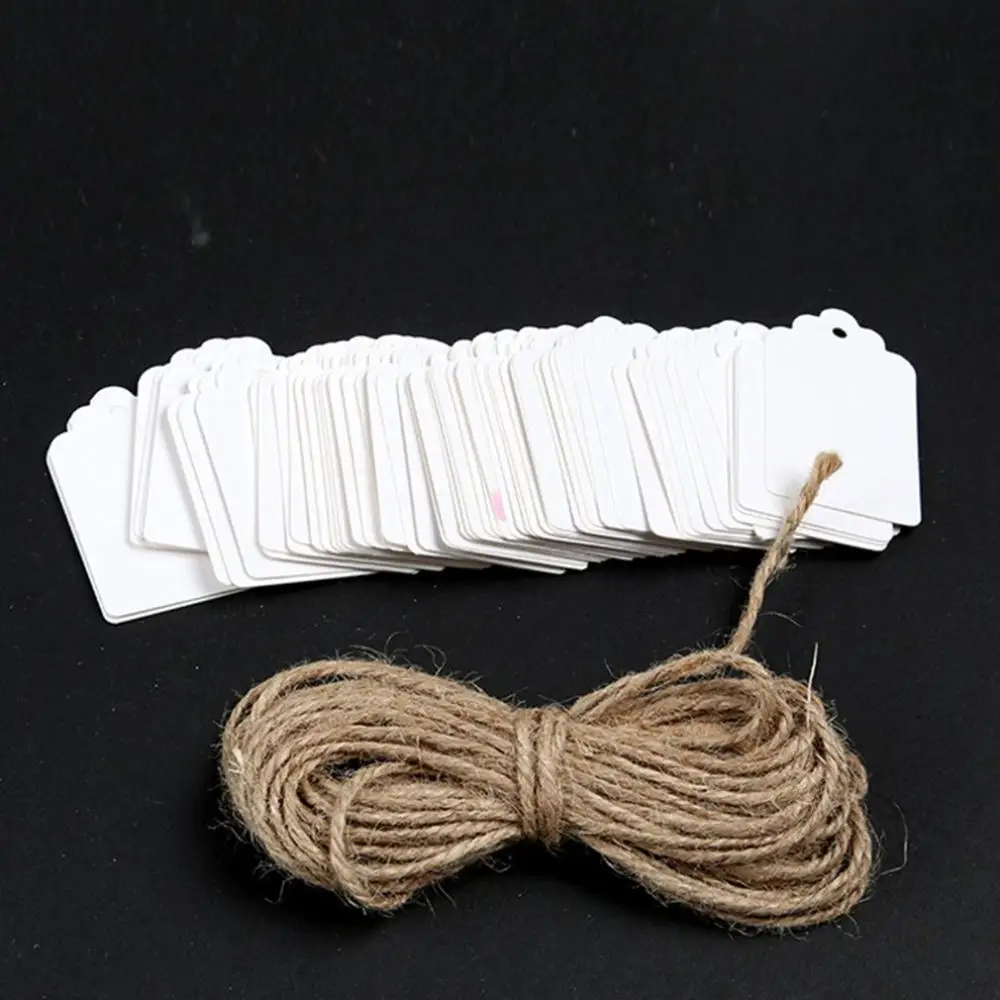 100 Pieces Kraft Paper Labels Different Forms of Paper Labels with Rope Tags Kraft Paper DIY Decoration