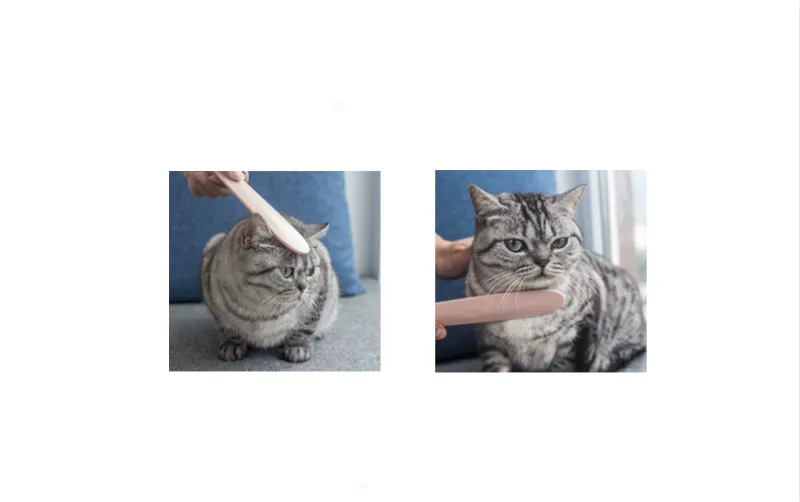 Расческа для кошачьего языка Массажная расческа для волос кошачьи волосы короткие волосы длинные волосы короткошерстая кошка средства по уходу за животными уход за котом