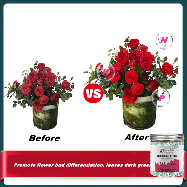 500 G Ömlesztett Keverés Műtrágya Rózsa Speciális Szerves Lassú Felszabadulású Vegyület Szemcsés Elősegíti A Virágzást - Image 4