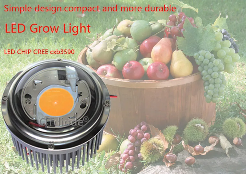 Original 50W Cree COB CXB3590 CXB 3590 LED Grow Light 3500k Full Spectrum LED Growing Lamp For Indoor Plant Growth LEDLighting