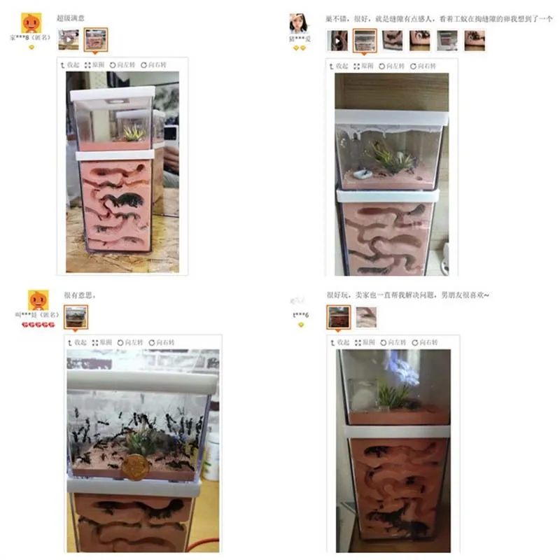 Муравьиная ферма Easy Diy с зоной подачи муравьев замок клетка для питомцев цех по