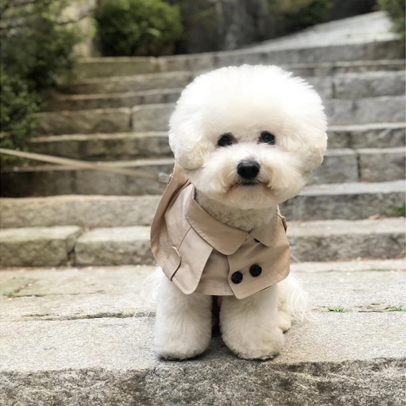 Teddy Bichon law fight straps towel dog collars dog windbreaker cloak