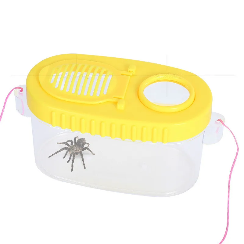 

Student children kindergarten outdoor education exploration two-way insect box observer magnifying glass