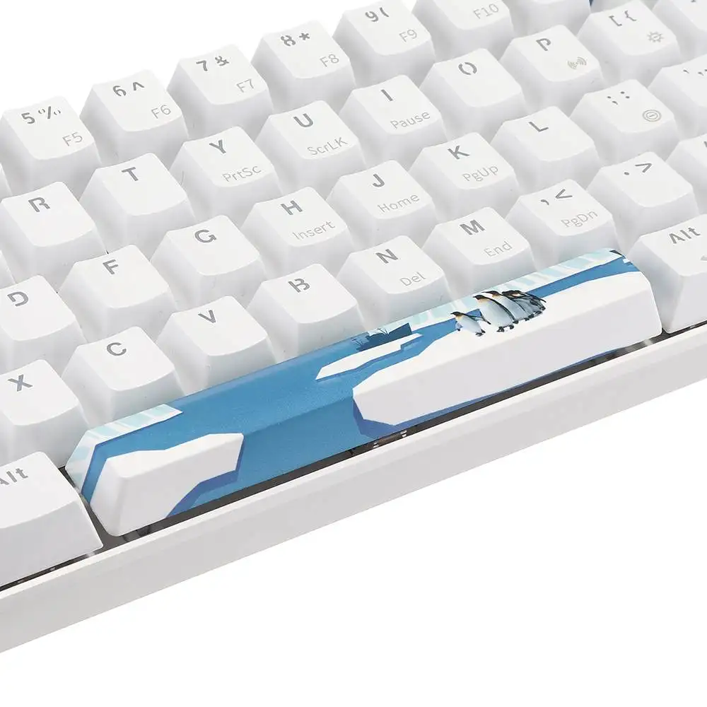 Five-sided Dyeing Space Bar Keycap PBT OEM Profile Antarctic Penguin Space Bar 6.25u Novelty Keycap + ESC Enter Keycaps Five-sided Dyeing Space Bar Keycap PBT OEM Profile Antarctic Penguin Space Bar 6.25u Novelty Keycap + ESC Enter Keycaps