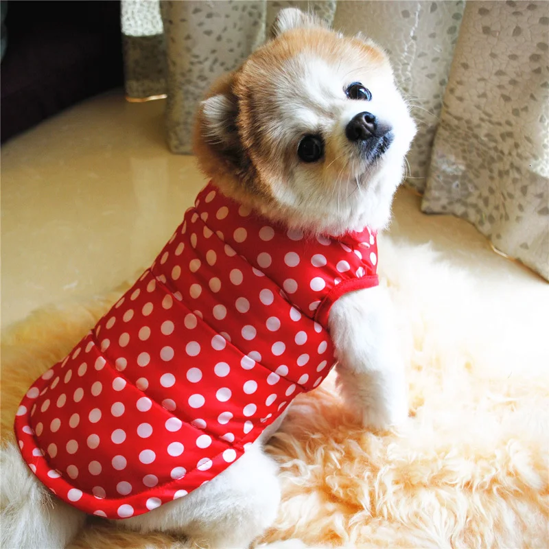 small dog clothes
