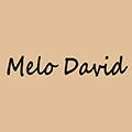 MeloDavid HiFi Store