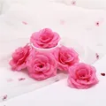 Deep Pink