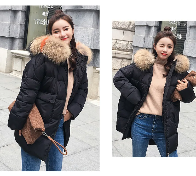 8998698177_1006637240