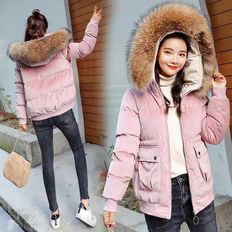 

Velvet Cotton Coat Women's Winter Short 2018 New Style Korean-style Versatile Short-height down Feather Cotton-padded Clothes Co