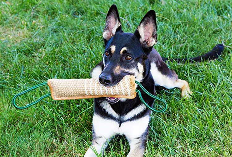 12702240067_36567406