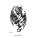 Image 29