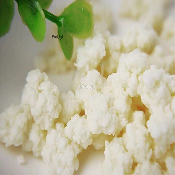 

Ngryise 10Gram A Set Tibicos kefir