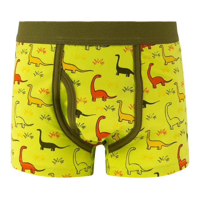 Jungen Boxer Shorts 5 Stück Kinder Höschen Baumwolle Dinasour Kinder Slip Unterwäsche 3