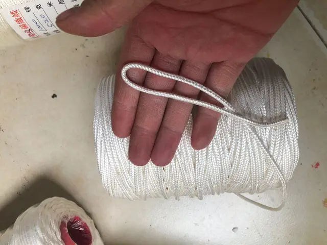 Kite Flying Line PE Line 1000lb-2000lb -3000bl   Large-sized kite  Soft Inflatable kite pilot 5