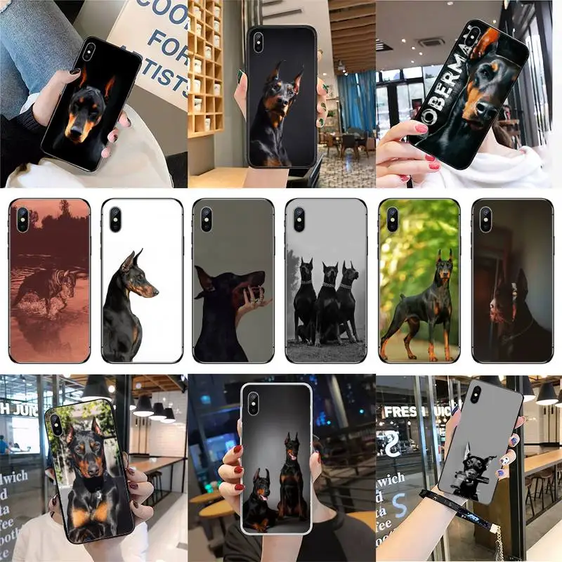 Чехол для телефона с изображением собаки Doberman iPhone 11 12 pro MAX MINI XS 8 7 6 6S Plus X 5S SE 2020 XR |