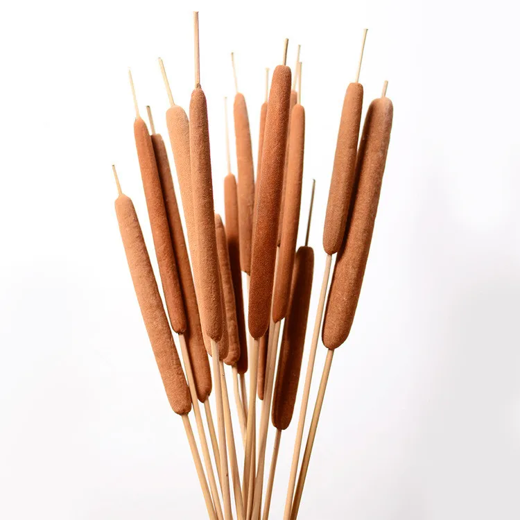 10pcs/40cm,Natural Dried Typha angustifoliall,Eternell display flower DIY Home Wedding flower arrangement Decoration Photo Props