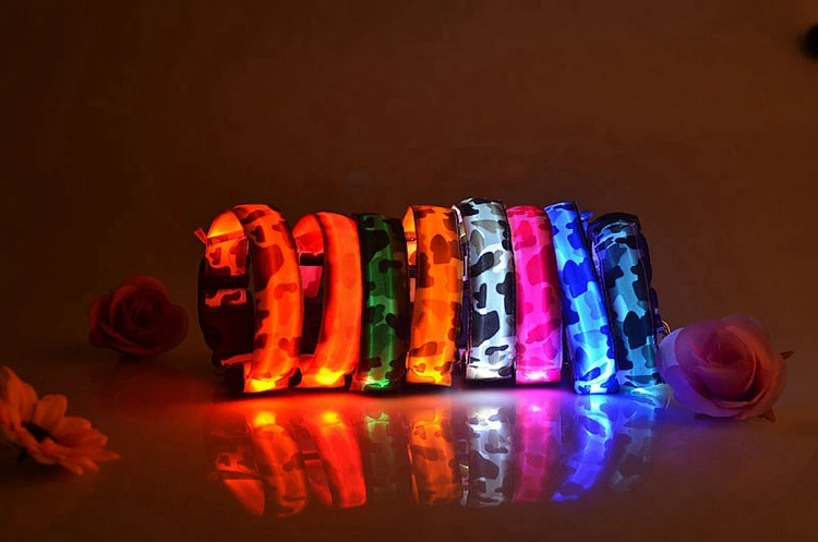 dog collar (3)