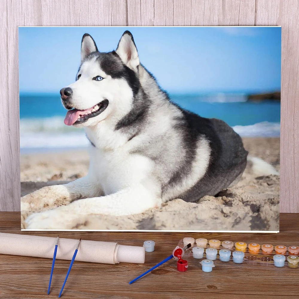 数字による動物犬のハスキーペイント 50x70のアクリル絵の具 キャンバス 家の装飾 描画 大人のための工芸品 番号でペイント Aliexpress