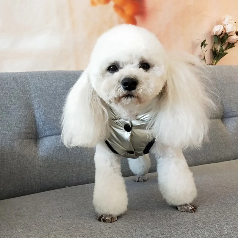 Зимний свитер для собак, теплый черный с буквенным принтом, пальто с капюшоном для питомцев, куртка для щенков, одежда для кошек, костюмы для домашних животных для маленьких собак