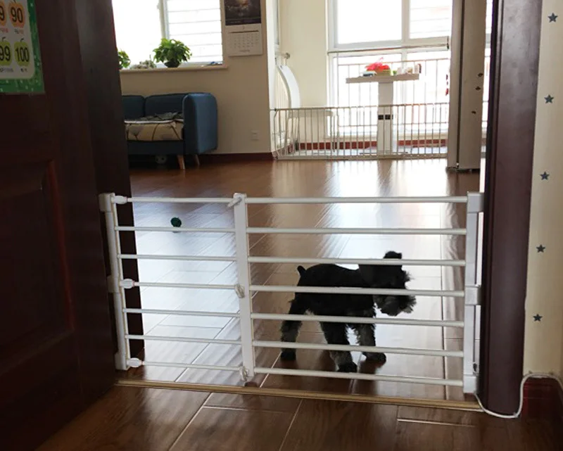 dog fence