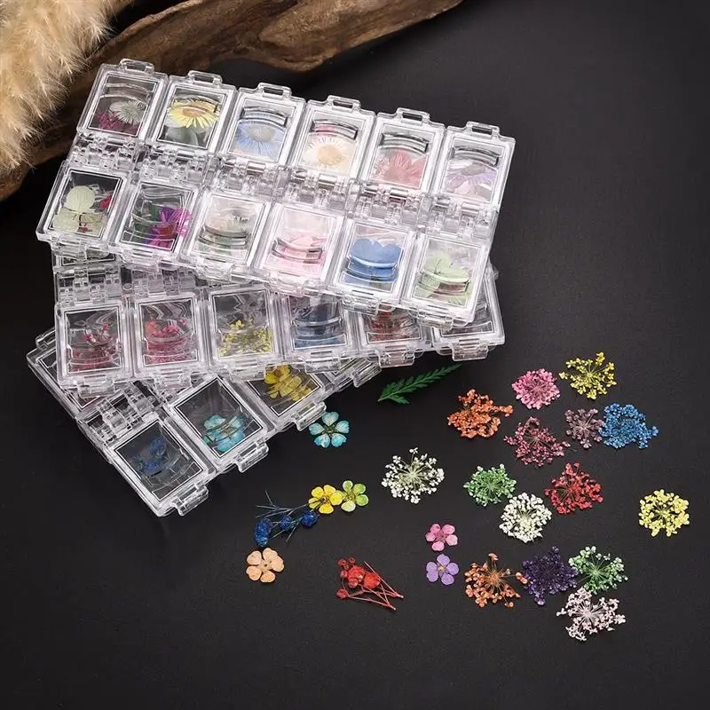 1 BoxDried Flower Dry Plants For Aromatherapy Candle Epoxy Resin