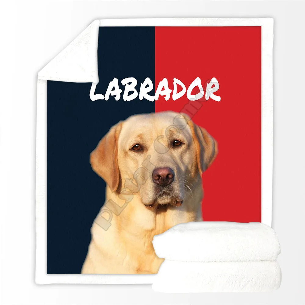 ��� �ִ� ����� �ƴ��� �����̾� ���� �θ��� 3D �μ� ���� ��� ħ�� Ȩ ���� �� ����