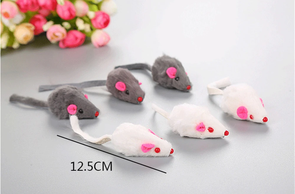 11527234285_900420000