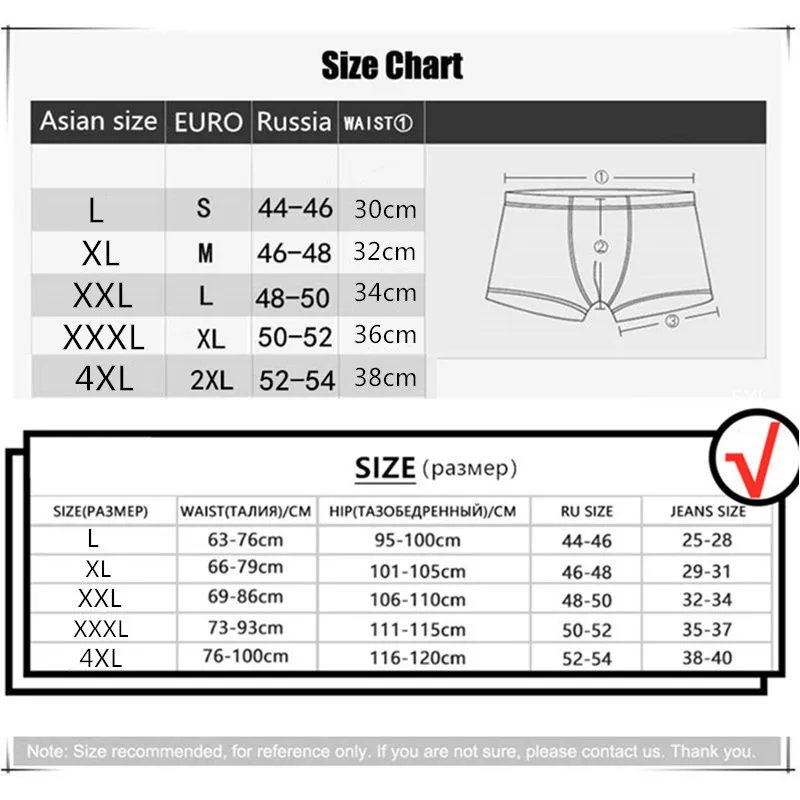 4Pcs/Lot Sexy Panties Man Briefs Mens Underwear Mesh Male Underpants Erotic Micro Nylon Gay Jockstrap Seamless Transparent