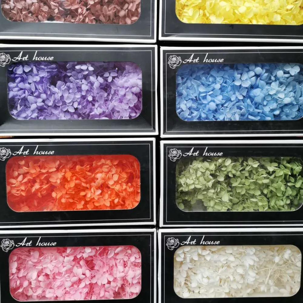 9f3852b182d6c4e0f2803f35acdafc5