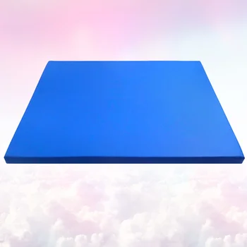 

1Pc Sole Disinfecting Mat Entry Rug Disinfection Doormat Floor Mat Sanitizing Mat for Home